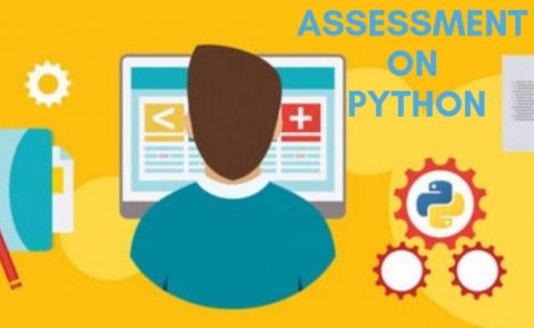 Python Assessment
